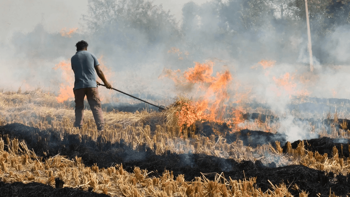 STUBBLE BURNING - current affairs wala