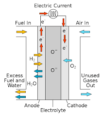 Working of hydrogen fuel cell - current affairs wala